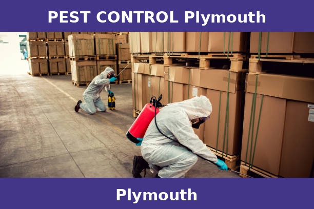 PEST CONTROL Plymouth